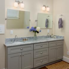 Photos Hgtv Transitional Beige Bathroom With Ious Gray Vanity