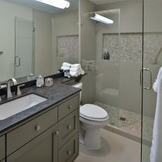 Sleek Master Bathroom With Updated Shower