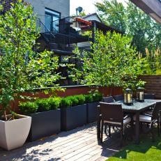 Rooftop Deck With Low-Maintenance Landscaping