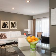 Contemporary Gray Living and Dining Area 