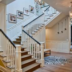 Traditional Entryway With Zebra Print Rug