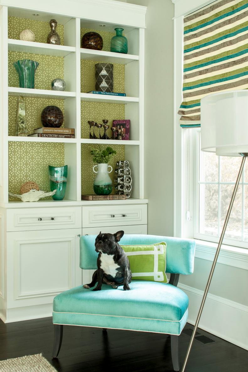Black Dog Sitting on Turquoise Chair in Colorful Living Area