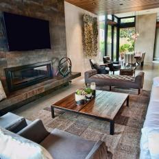 Fireplace Centers Contemporary Living Room