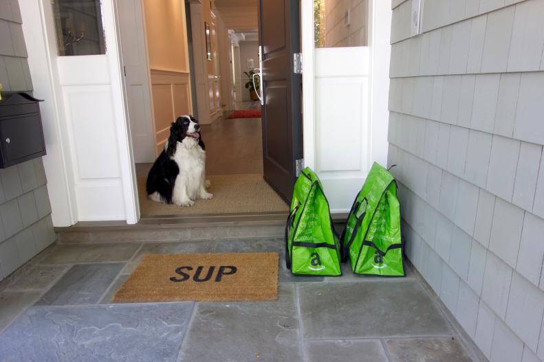 grocery bags and dog by front door