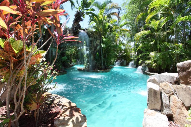 Pool and Grotto Area With Palm Trees and Plant Life