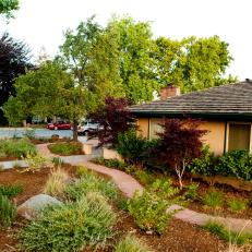 Aesthetic-Gardens_Cal-Native-Landscape_Walk