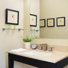 Modern Neutral Bathroom With Black Vanity