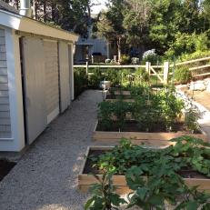 Raised Garden With Cedar Beds 