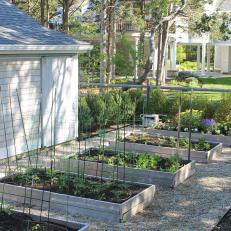 Vegetable Garden With Raised Beds