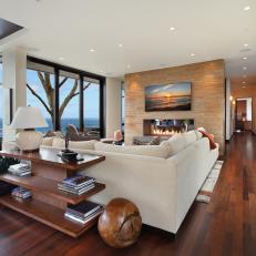 Contemporary California Living Room With Marble Accent Wall