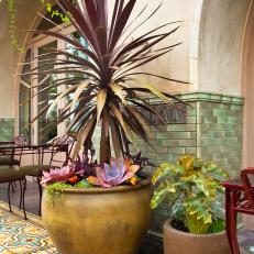 Mediterranean Restaurant Terrace With Tropical Plants