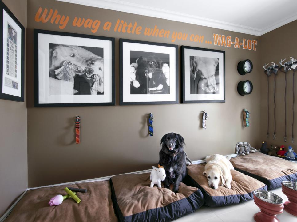 Mudroom For Dogs Hgtv