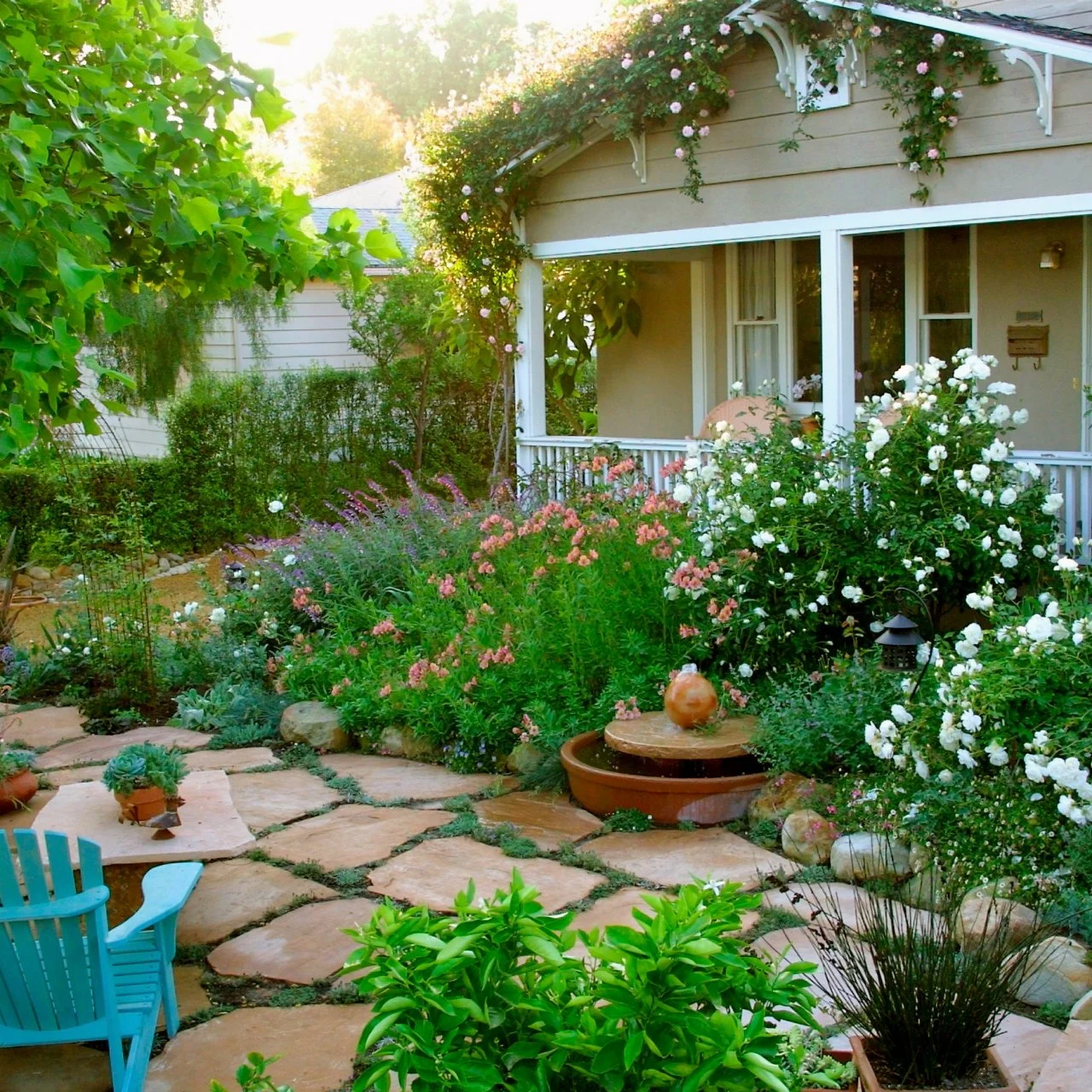 How to Choose Landscaping Plants HGTV