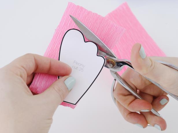 Cut a strip of 4-inch wide crepe paper and fold into a 4x4-inch squares. Lay the peony petal template onto the crepe paper folds, making sure the grain of the crepe paper is running vertically on the petal. Cut out 25 petals .