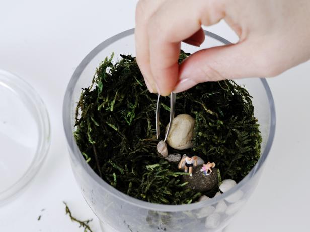Place more rocks into the top of the terrarium to create paths and walking trails for your miniature family.