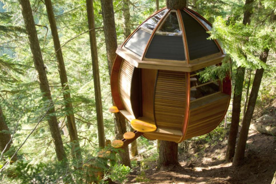 Treehouses for Kids and Adults  HGTV