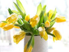 BPF_Spring-House_interior_spring-flowers_tulips_v