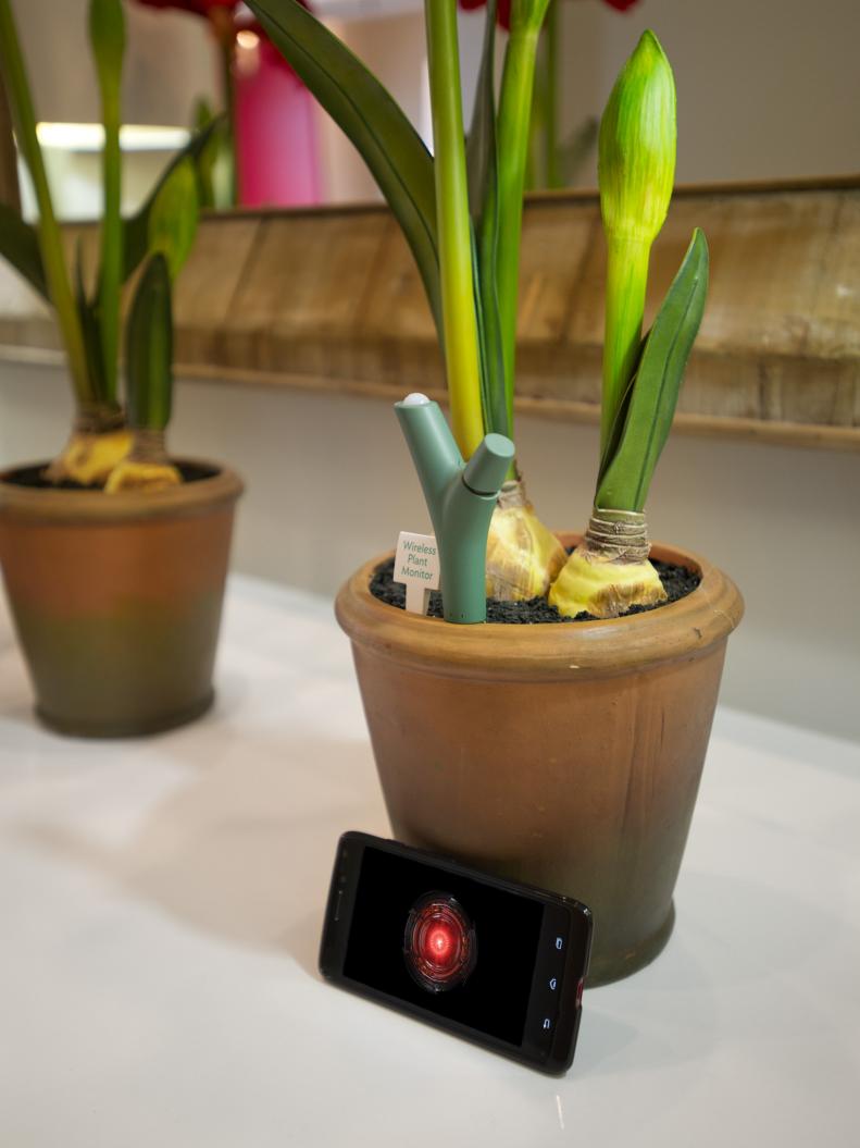HGTV Smart Home 2014 Wireless Plant Monitors 