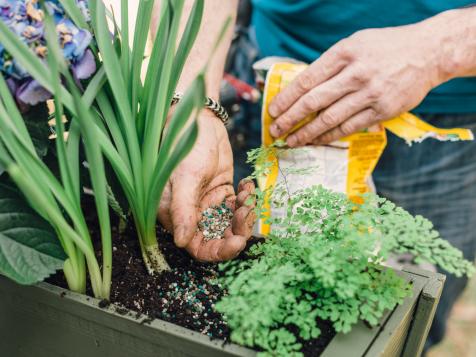 Feed Your Garden: Types of Fertilizer