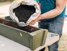 Fresh potting soil is important to the health and