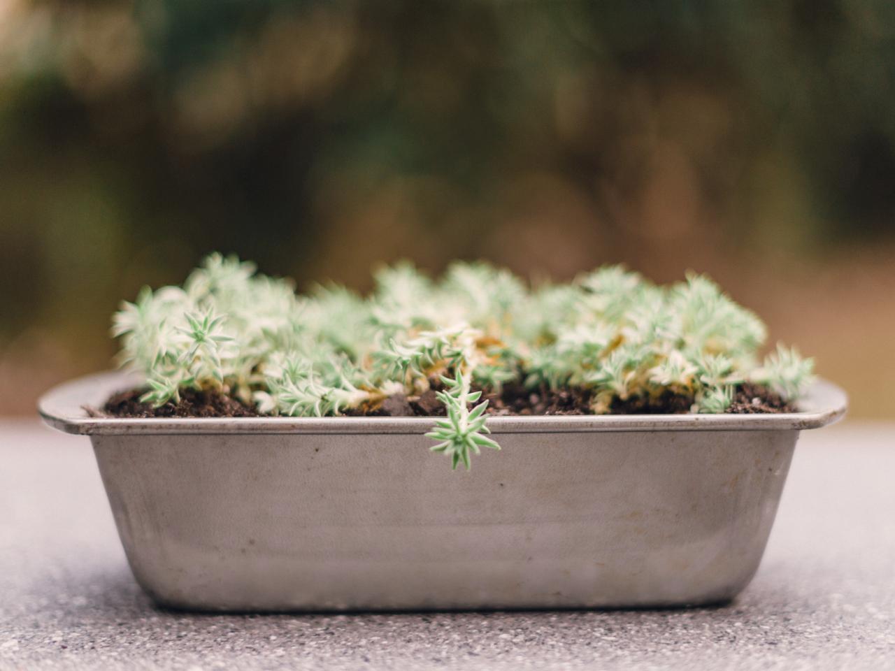 8 Fresh and Fun DIY Outdoor Planter Ideas | HGTV's Decorating & Design