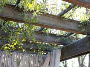 BPF_Spring-House_exterior_patio-privacy-ideas_architectural_joists_h