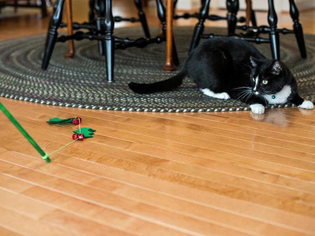 Entice your cat to play with the spinner wand by dragging the holly across the ground or spinning it through the air.