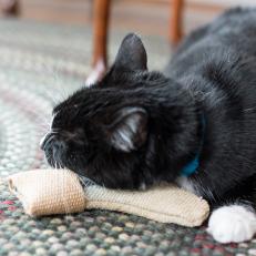 Cat Playing With Handmade Catnip Toy