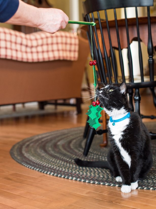 Entice your cat to play with the spinner wand by dragging the holly across the ground or spinning it through the air.