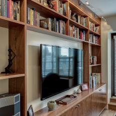 Contemporary Living Room Built-Ins