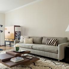 White Contemporary Living Room