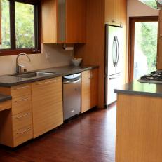 Sleek Wood Cabinets in Contemporary Kitchen