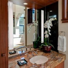 Countertop is Focal Point in Transitional Bath