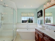 Blue Bathroom With Contemporary Tub and Glass Shower 