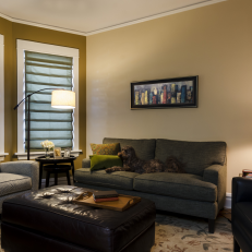 Comfy Transitional Living Room