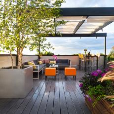Sunny Modern Rooftop With Container Garden and Pergola