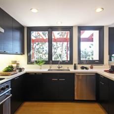 Black and White Contemporary Kitchen With Outside View