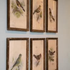 After: Avian Prints 