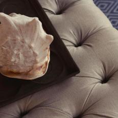 Conch Shell on Cushion