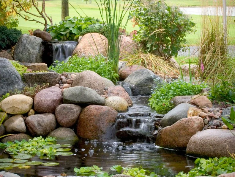 Aquascape water garden landscape