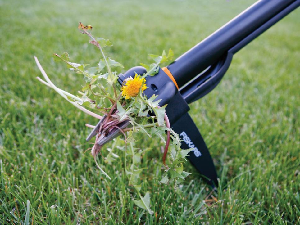 Solution: Get to Know Your Garden Tools