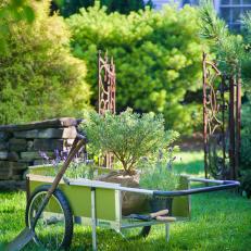 Garden Cart with Shrubs and Perennials