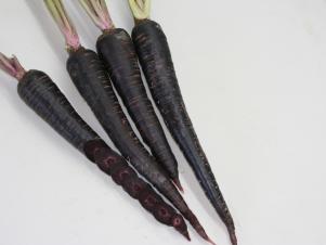 Carrot 'Deep Purple'