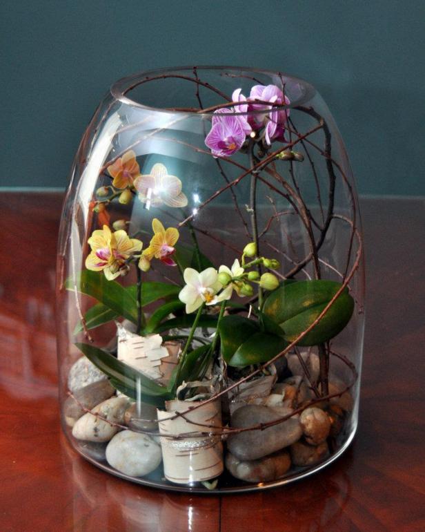 Glass Jar Terrarium with Orchid