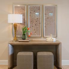 Transitional Neutral Entryway With Modern Console Table