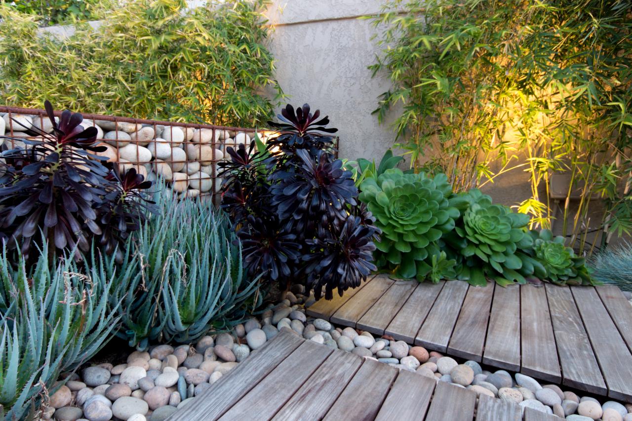 Backyard Landscaping Ideas Hgtv