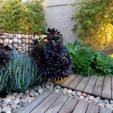 Succulent Garden Feature Rich Green and Purple Toned Plants, Stone Bed and Wooden Platforms 