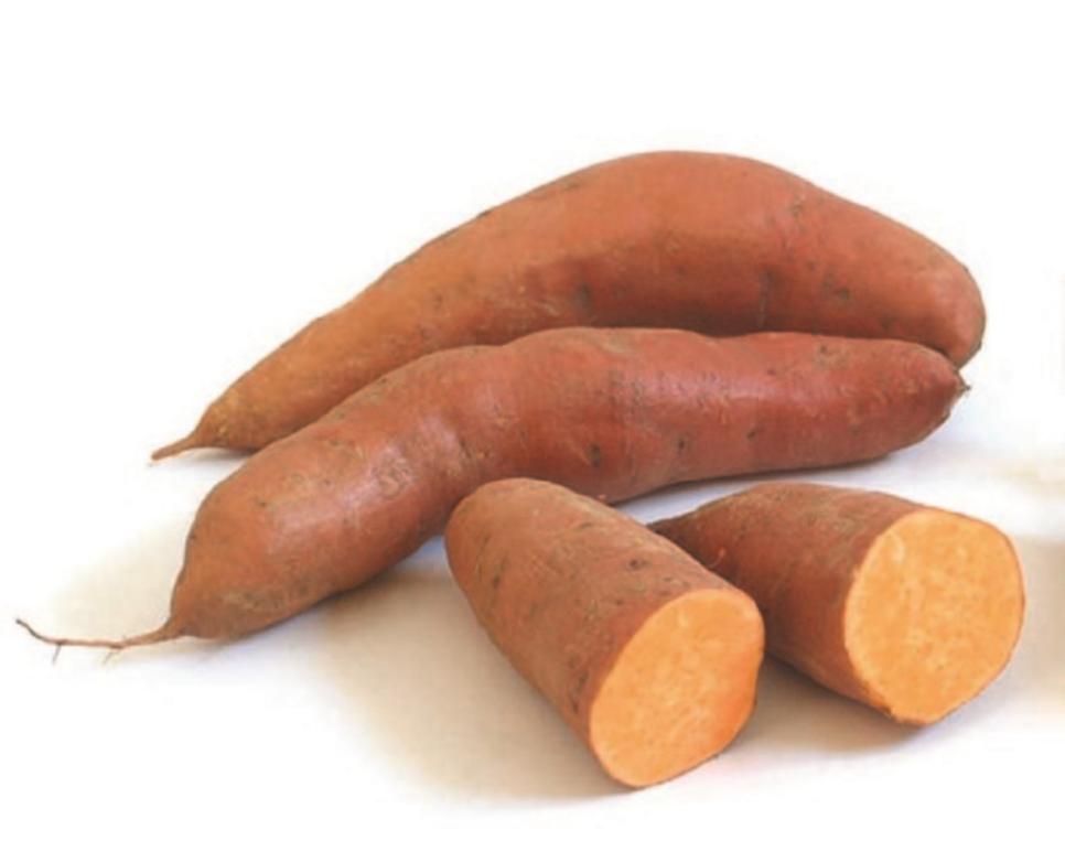 ‘Beaureguard’ Sweet Potato tubers