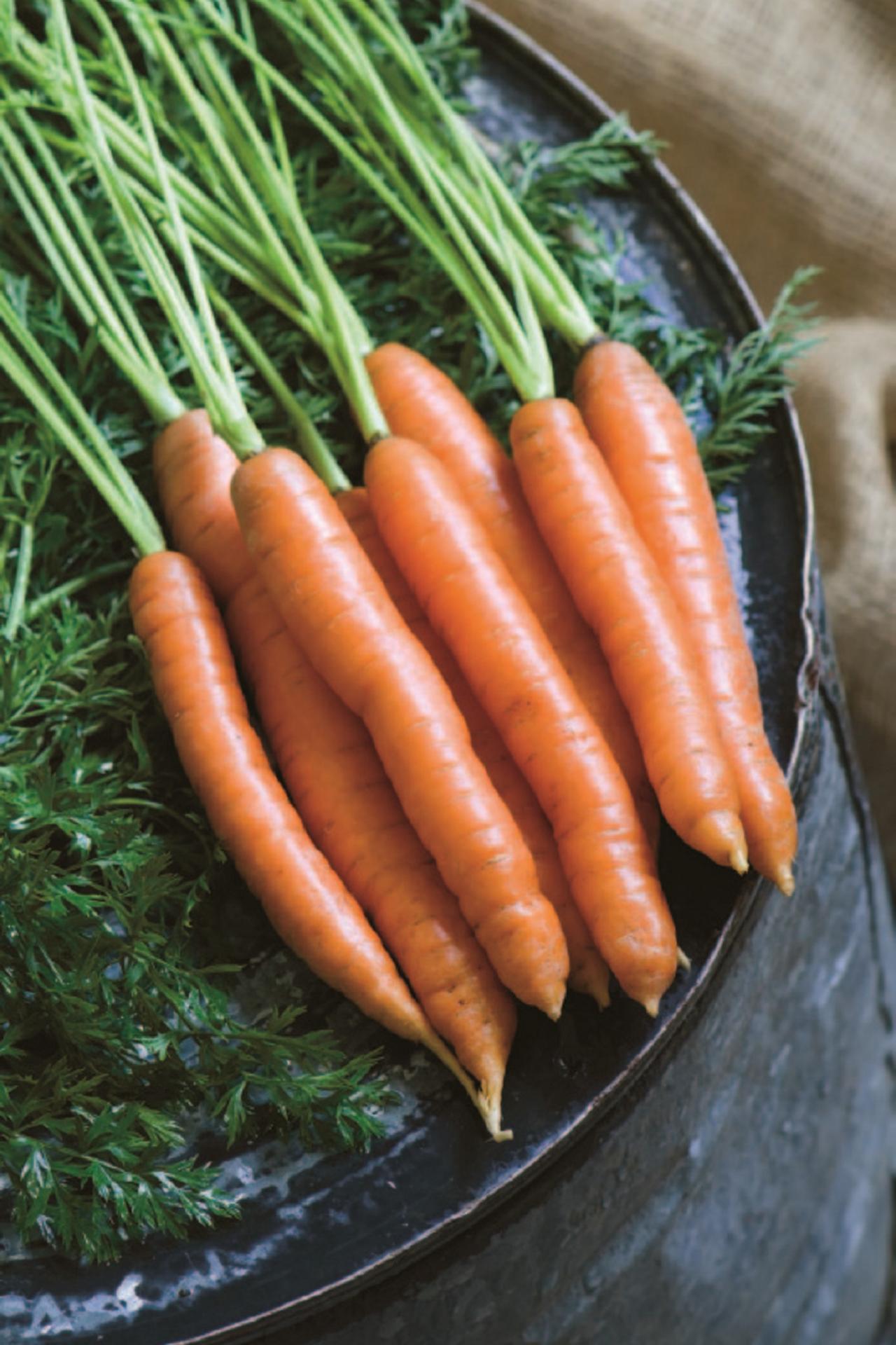 How To Store Fresh Carrots Diy