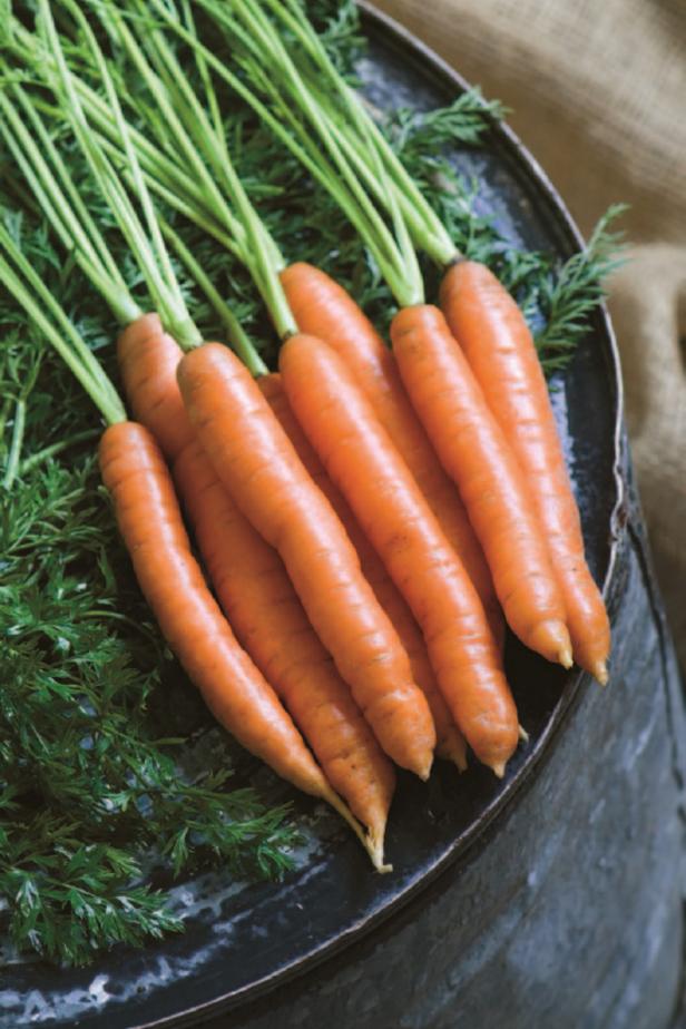 How to Store Fresh Carrots | DIY wiring electrical room 